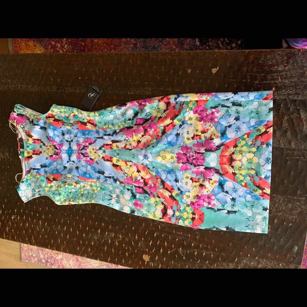 Adrianna Papell colorful screen print dress